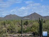 Usery Mountain Regional Park: Cacti & Mountain Views in Mesa - Top Ten Travel List