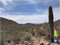 15 Scenic Hikes in Tucson - Top Ten Travel List