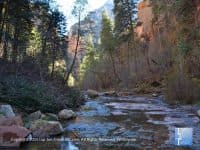 5 Beautiful Sedona Summer Hikes - Top Ten Travel List