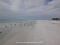 10 Fantastic Daytrips (less than 2 hours) from Tampa - Top Ten Travel List