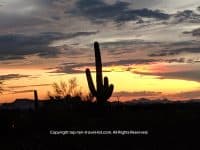 Hiking Hotspot: Linda Vista trail in Tucson - Top Ten Travel List