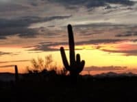 10 Must-Do’s in Tucson, Arizona - Top Ten Travel List