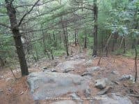 Blue Hills Reservation: A Beautiful Hiking Oasis Just Outside of Boston! - Top Ten Travel List