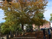 Fall Halloween Fun in Salem, Massachusetts - Top Ten Travel List