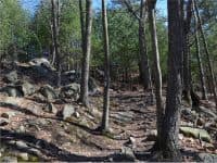 8 Beautiful Hiking Areas Near Boston - Top Ten Travel List