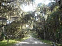 Myakka State Park: One of Florida’s Largest, Oldest & Most Scenic Parks - Top Ten Travel List