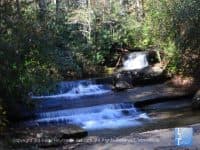 Hiking Hotspot: Carrick Creek Nature Trail at Table Rock State Park - Top Ten Travel List