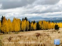 12 Things to do this Halloween/Fall Season in Flagstaff - Top Ten Travel List
