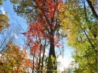 10 Fantastic Fall Foliage Destinations - Top Ten Travel List