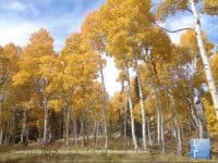 15 Amazing Fall Color Hikes - Top Ten Travel List