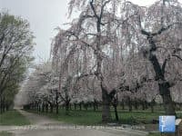 The Best Urban Parks & Green Spaces in Philadelphia - Top Ten Travel List