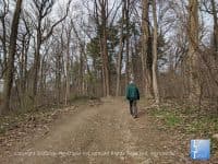 9 Places to take a Nature Walk near Philly - Top Ten Travel List