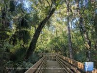 8 Great Nature Walks in the Tampa Bay Area - Top Ten Travel List
