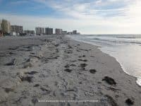 The Ultimate Tampa Bay Beach Guide - Top Ten Travel List
