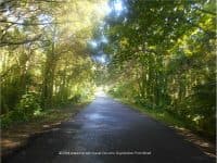 Upper Tampa Bay Trail: An Urban Oasis in Suburban Tampa - Top Ten Travel List