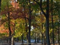 5 Things to do this fall in Providence, Rhode Island - Top Ten Travel List