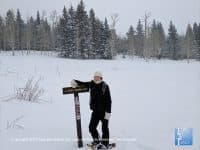 Snowshoeing in Flagstaff: The Most Gorgeous Destinations - Top Ten Travel List