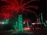 Attraction of the Week: Florida Botanical Gardens Holiday Lights - Top Ten Travel List