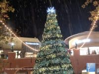 5 Tucson Holiday Events Not to be Missed - Top Ten Travel List