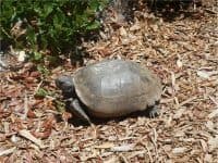 A Florida Gulf Coast Gem: James E. Grey Preserve in New Port Richey - Top Ten Travel List
