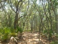 Escaping the Florida Heat and Crowds via the Beautiful Trails of Jay B. Starkey Wilderness Park - Top Ten Travel List