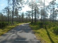 A Beautiful Ride through Florida’s Jay B. Starkey Wilderness Park - Top Ten Travel List