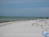 Things to do in Pasco County, Florida: “The Nature Coast” - Top Ten Travel List