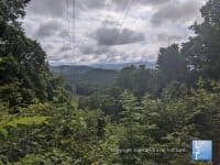 Hiking Hotspot: Collier Cove in WNC - Top Ten Travel List