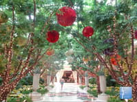 Beautiful & Free Vegas Gardens to Visit - Top Ten Travel List