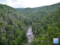 8 Wonderful Things to do in Western North Carolina - Top Ten Travel List