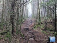 Richard Balsam: The Highest Point on the Blue Ridge Parkway - Top Ten Travel List