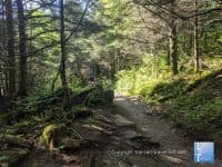 15 Easy Hiking Trails near Asheville, NC - Top Ten Travel List