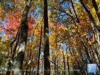 Hiking Hotspot: Raven Cliff Falls at Caesars Head State Park - Top Ten Travel List