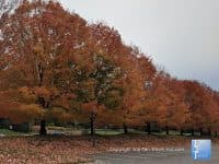 Fall Fun in Asheville, NC: 10 Things to See & Do - Top Ten Travel List
