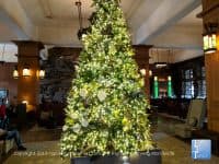 10 Things to do Over the Holidays in Asheville, North Carolina - Top Ten Travel List