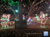 Attraction of the Week: Forest City, North Carolina Christmas Lights - Top Ten Travel List