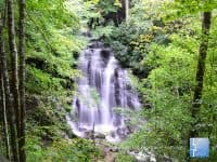 Roadside Waterfalls near Asheville - Top Ten Travel List