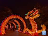 Asian Lantern Festival at The Pittsburgh Zoo - Top Ten Travel List