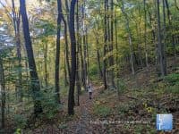 The best fall activities in Pittsburgh - Top Ten Travel List