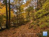 Leaf Peeping at McConnells Mill State Park - Top Ten Travel List