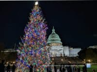 5 Free Holiday Attractions in Washington D.C. - Top Ten Travel List