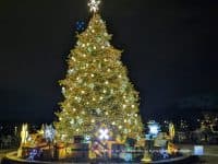 The 100th Anniversary of The National Tree Lighting in D.C. - Top Ten Travel List