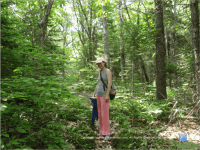 Top 10 Free Things to do on any Vacation - Top Ten Travel List