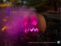 Halloween in the ‘Burgh: My Favorite Festive Activities - Top Ten Travel List
