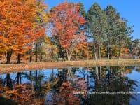 Ashtabula: A Beautiful Fall Day Trip near Cleveland - Top Ten Travel List