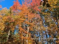 Cleveland Autumn Bucket List: Hiking, Leaf Peeping, & More - Top Ten Travel List