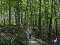 Brecksville Reservation: The Largest in the Cleveland Metroparks - Top Ten Travel List