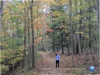 5 Leaf Peeping Hikes to Check out Near Cleveland - Top Ten Travel List