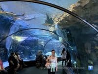 Omaha’s Henry Doorly: Pros & Cons of Visiting The Largest Zoo - Top Ten Travel List