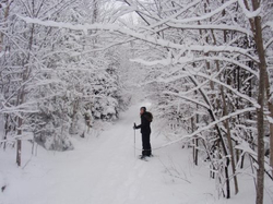 Holiday & Winter Travel - Top Ten Travel List